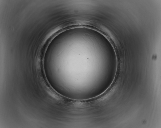 X0000101450827200807071404