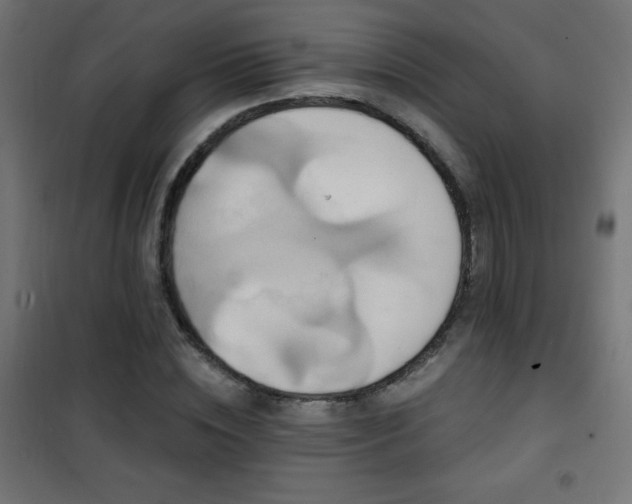 X0000101450828200807071404
