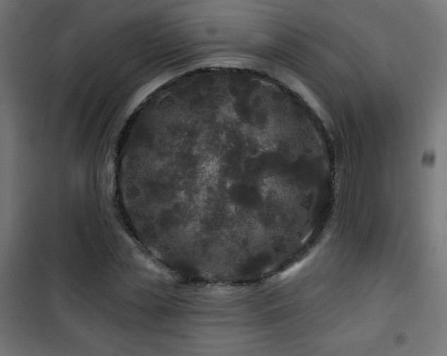 X0000101450829200807071404