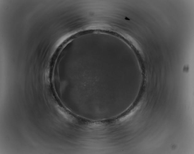 X0000101450830200807071404