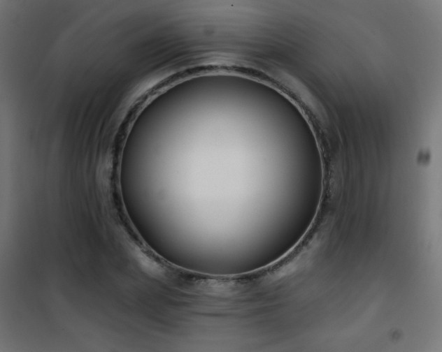 X0000101450831200807071404