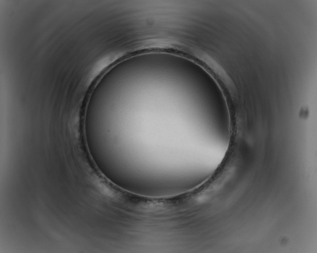 X0000101450834200807071404