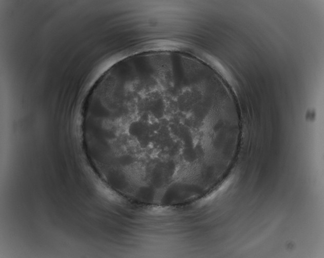 X0000101450835200807071404
