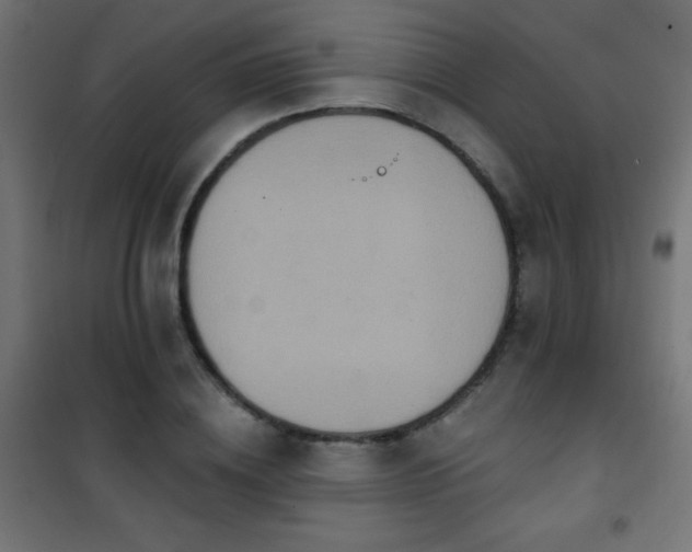 X0000101450836200807071404