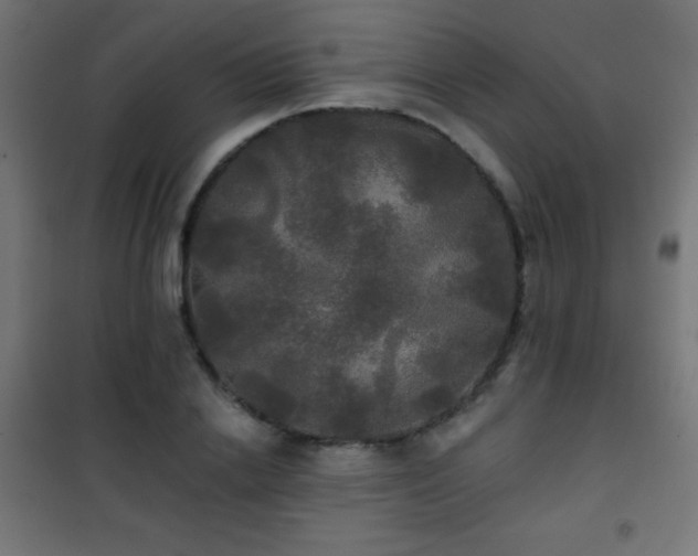 X0000101450838200807071404