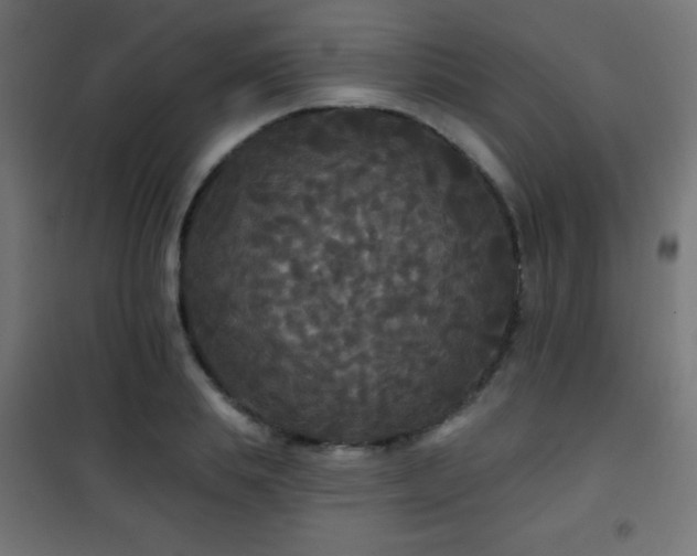X0000101450839200807071404