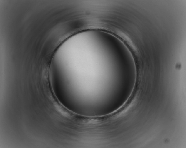 X0000101450841200807071404