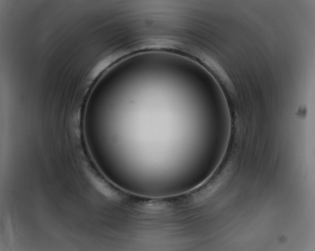 X0000101450842200807071404