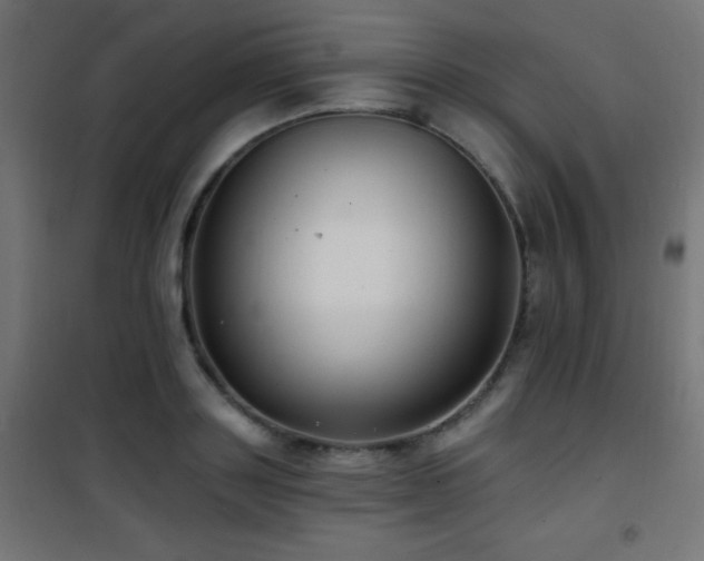 X0000101450843200807071404