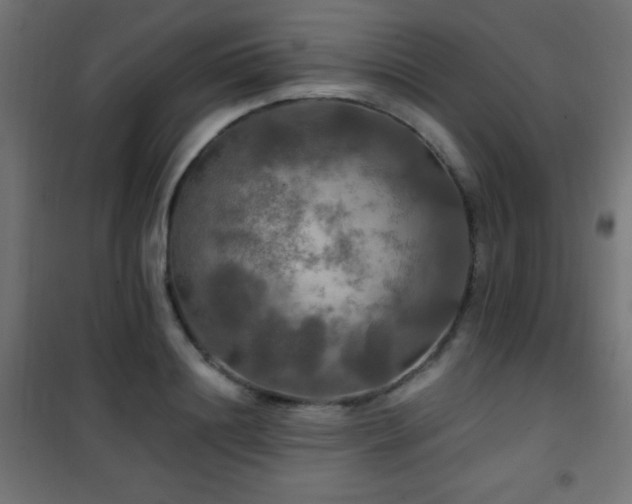 X0000101450844200807071404