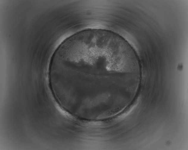 X0000101450845200807071404