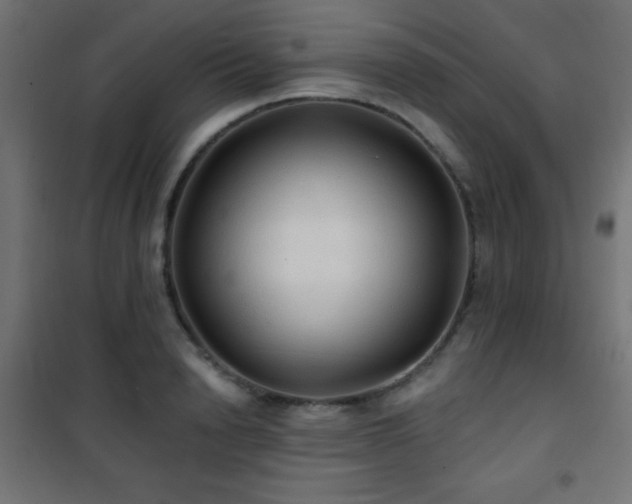 X0000101450846200807071404