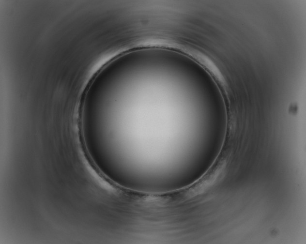 X0000101450847200807071404