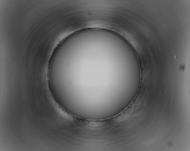 X0000101450848200807071404