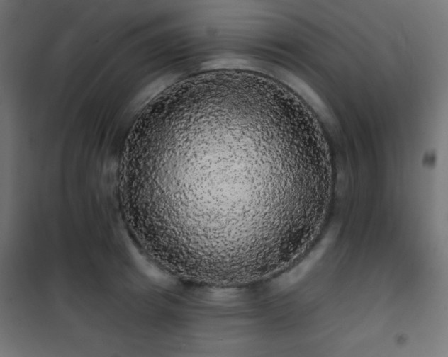 X0000101450849200807071404