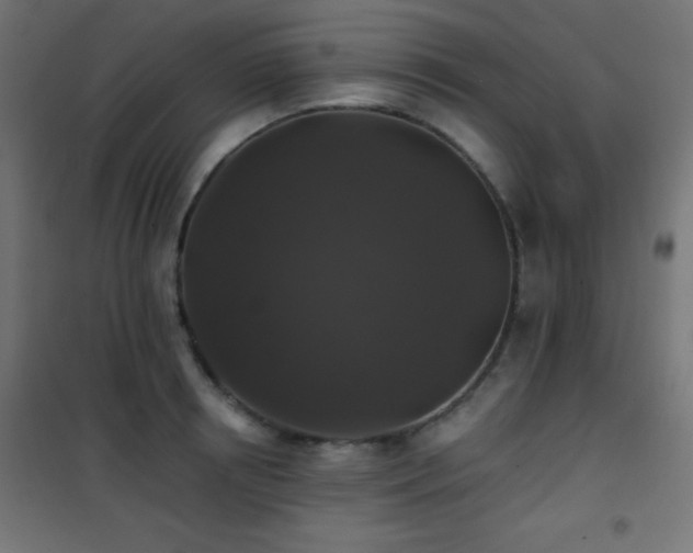 X0000101450850200807071404