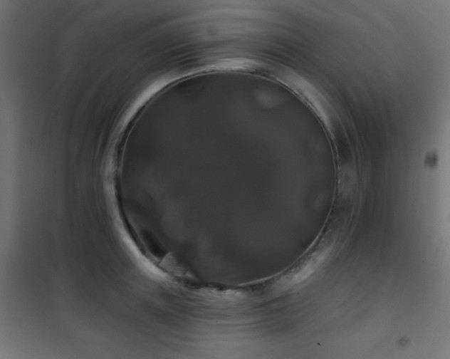 X0000101450851200807071404