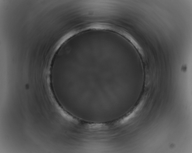 X0000101450853200807071404