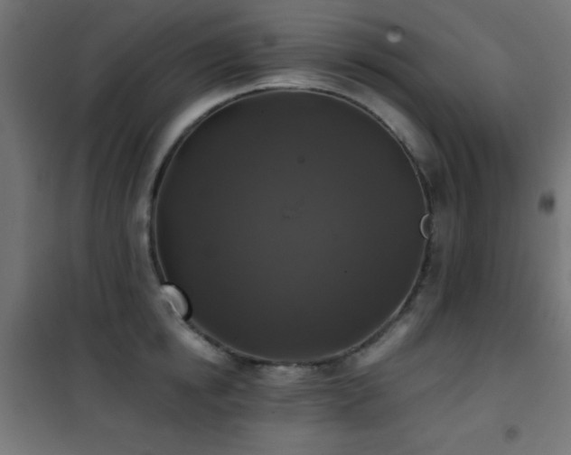 X0000101450854200807071404