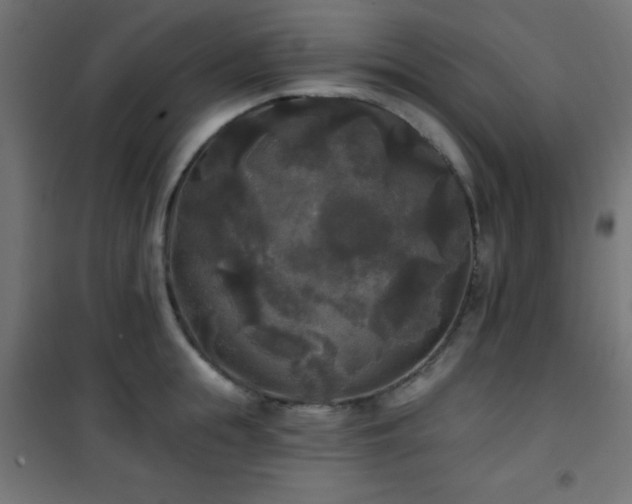 X0000101450855200807071404