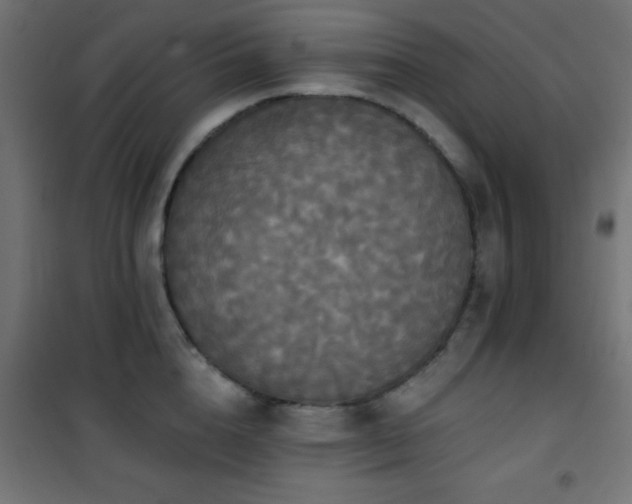 X0000101450856200807071404