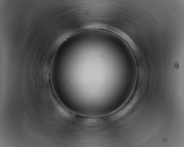 X0000101450857200807071404