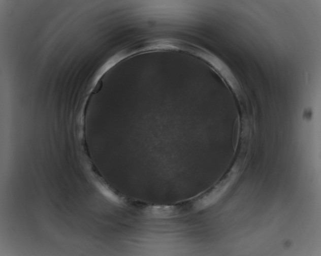 X0000101450858200807071404