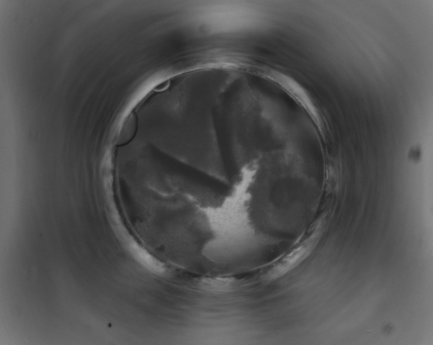 X0000101450859200807071404