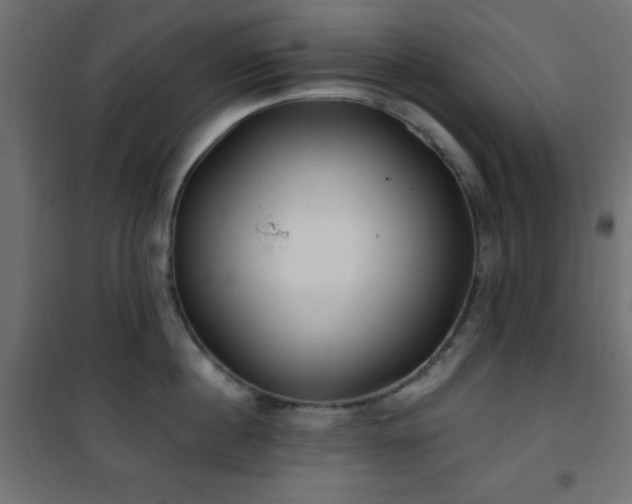 X0000101450860200807071404