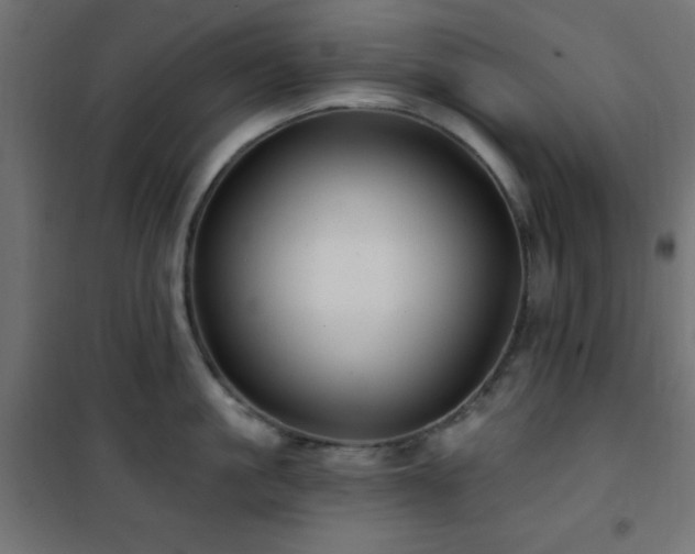X0000101450861200807071404