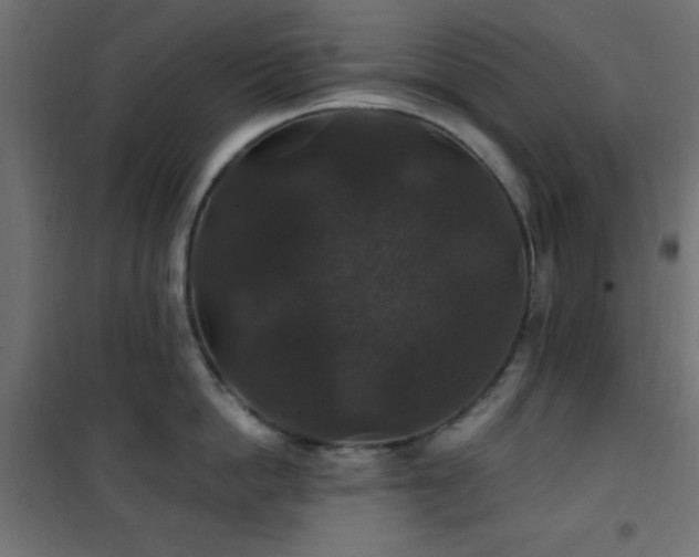 X0000101450862200807071404