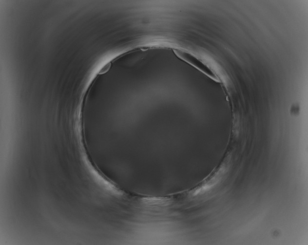 X0000101450863200807071404