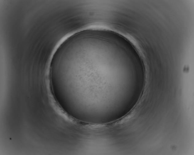 X0000101450864200807071404