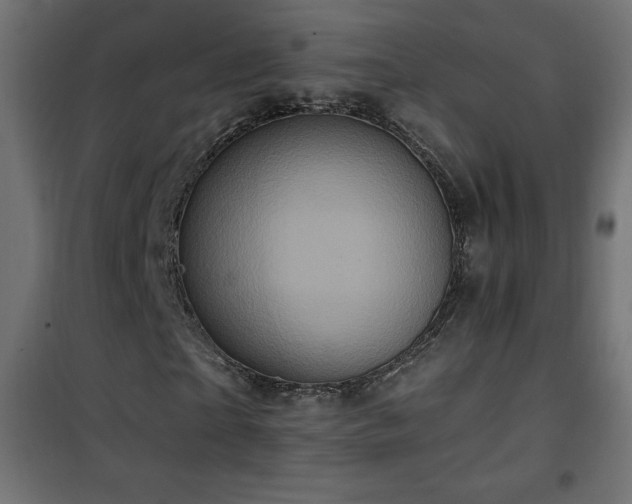 X0000101450865200807071403