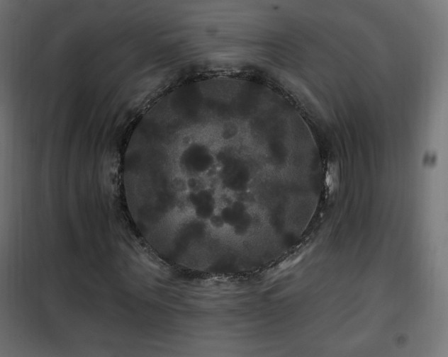 X0000101450867200807071403