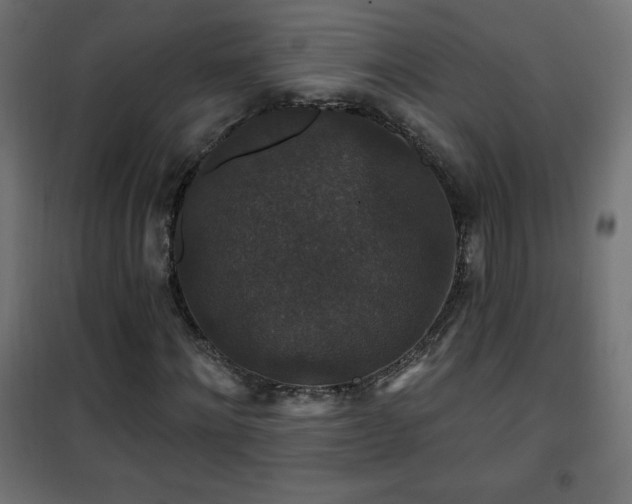 X0000101450868200807071403