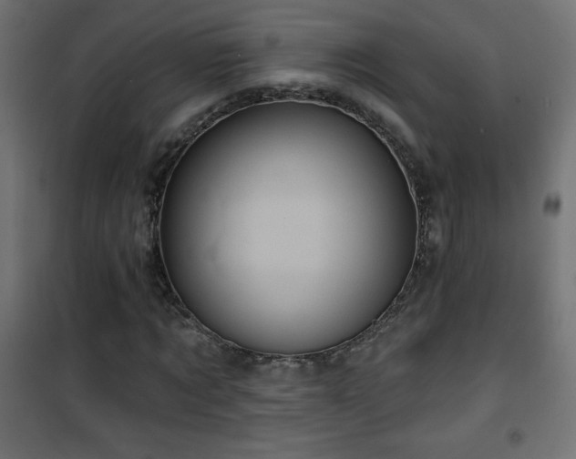 X0000101450869200807071403