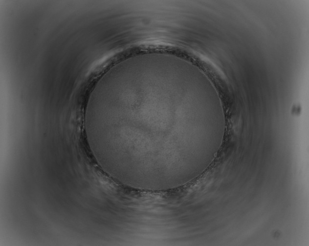 X0000101450870200807071403