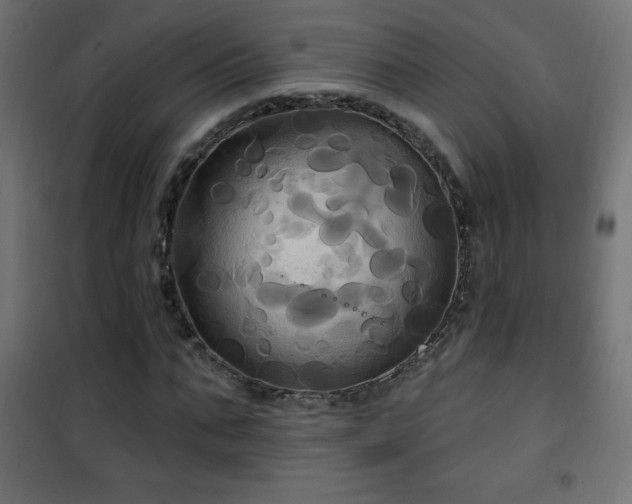 X0000101450871200807071403