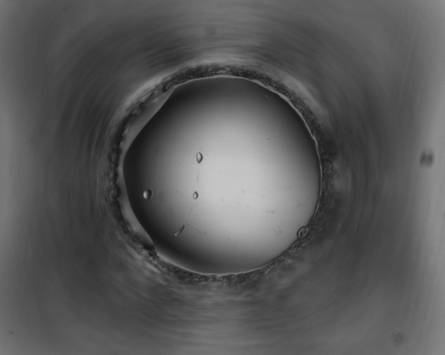 X0000101450872200807071403