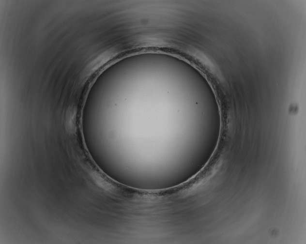 X0000101450873200807071403
