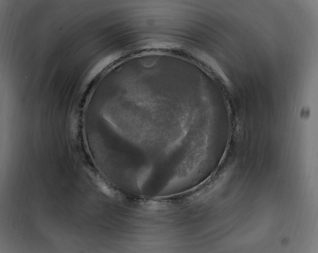 X0000101450874200807071403
