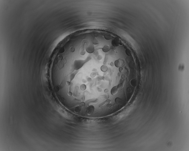 X0000101450875200807071403