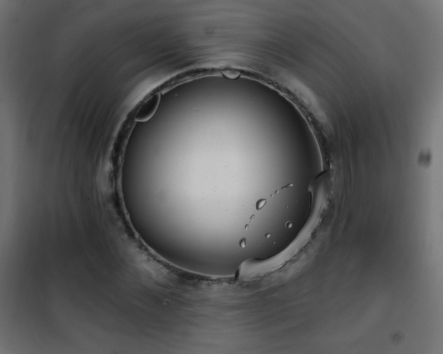 X0000101450876200807071403