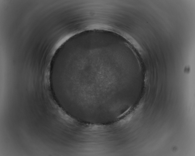 X0000101450877200807071403