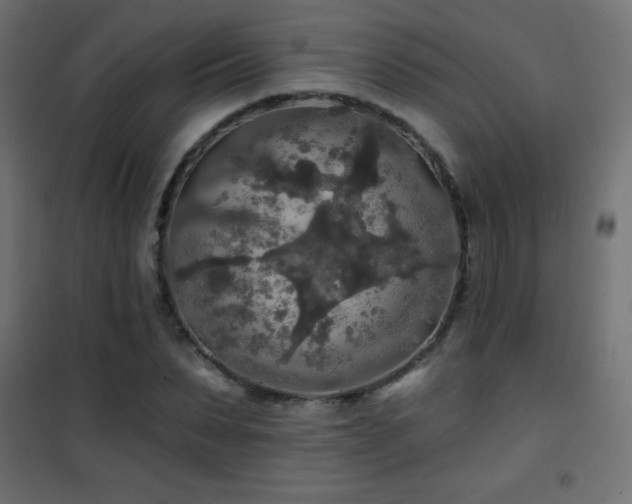 X0000101450879200807071403