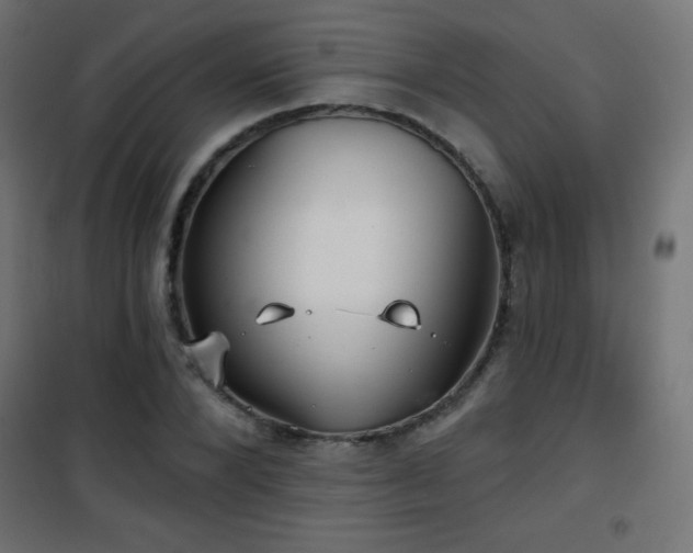 X0000101450880200807071403