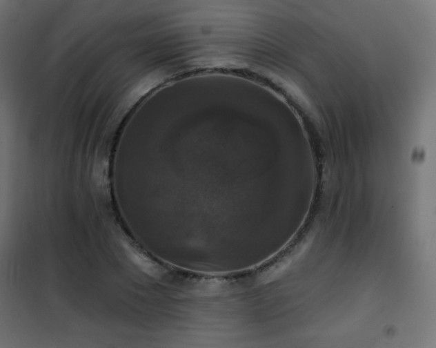 X0000101450881200807071403