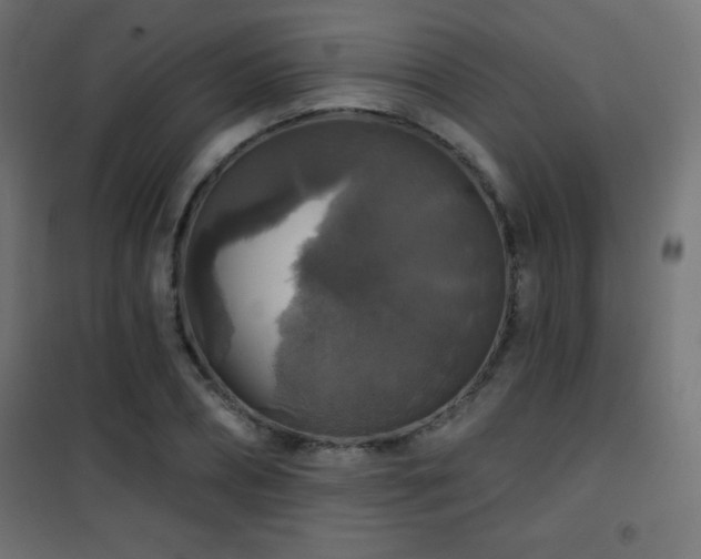 X0000101450882200807071403