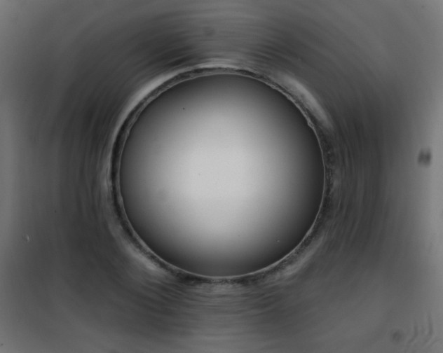 X0000101450884200807071403